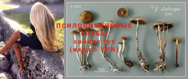 ALPHA PVP Сосновка