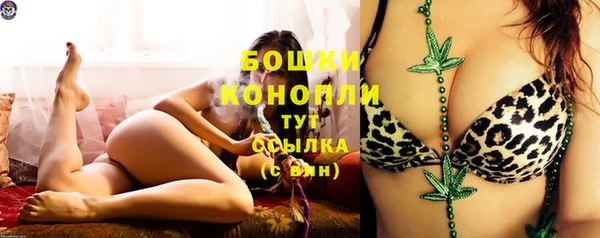 спиды Строитель