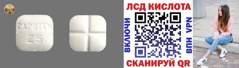 Купить закладки  Ефремов  Лсд 25 экстази кислота 